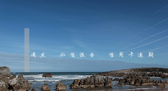 浦发 征信报告 信用卡逾期 浦发 征信报告 信用卡逾期